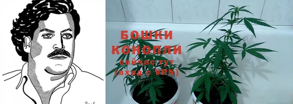 амф Нефтекумск