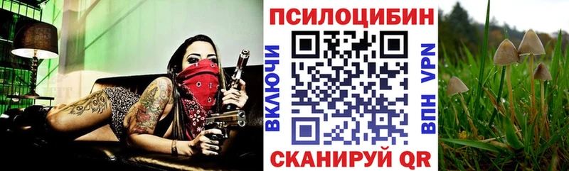 купить  цена  Кондопога  Псилоцибиновые грибы ЛСД 
