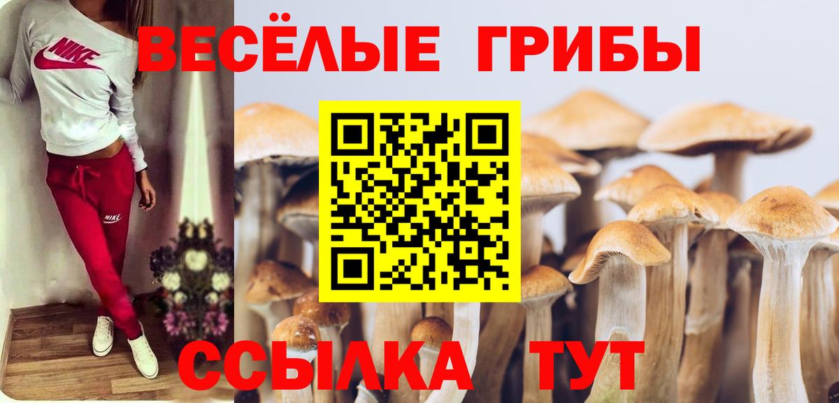 Псилоцибиновые грибы Psilocybe  Псилоцибиновые грибы MAGIC MUSHROOMS  Кондопога  Вход с VPN 