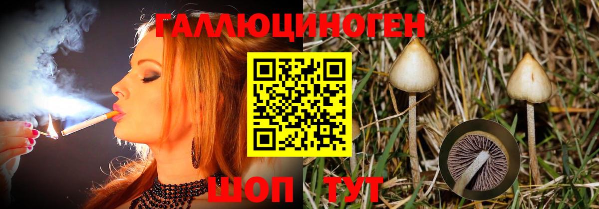 Псилоцибиновые грибы мицелий  Кондопога 