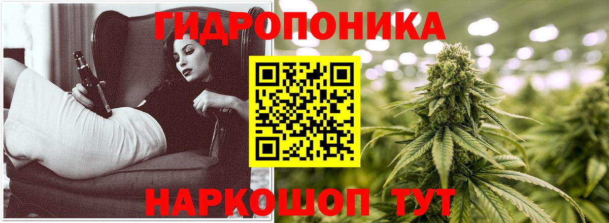 Канабис конопля  Вход с VPN  Конопля MAZAR  Кондопога 